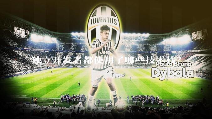 独立开发者都使用了哪些技术栈？