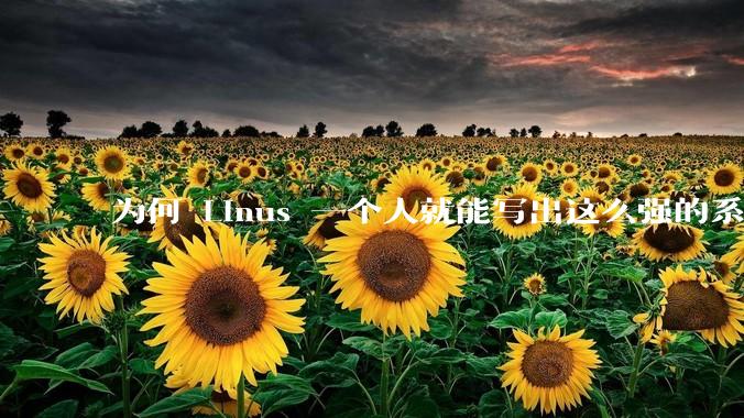 为何 Linus 一个人就能写出这么强的系统，中国却做不出来？