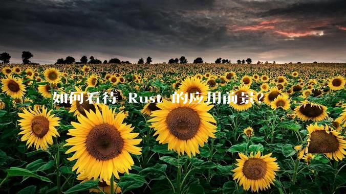 如何看待 Rust 的应用前景？
