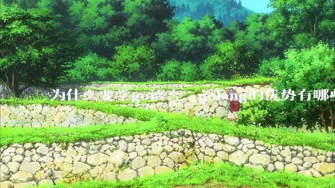 为什么要学go语言，golang的优势有哪些？