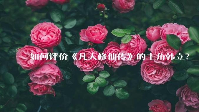 如何评价《凡人修仙传》的主角韩立？