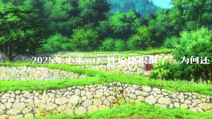 2025年小米su7 性价比很低了，为何还不更新改款？