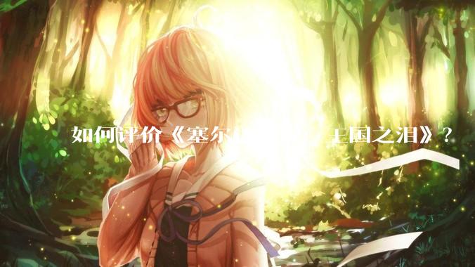 如何评价《塞尔达传说：王国之泪》？