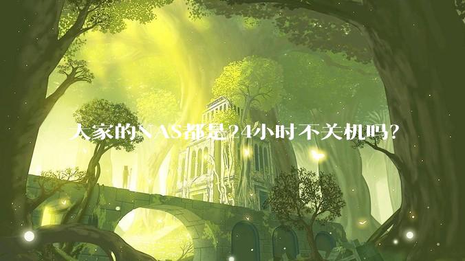 大家的NAS都是24小时不关机吗？