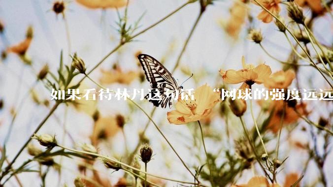 如果看待林丹这句话 “网球的强度远远没有羽毛球大”?