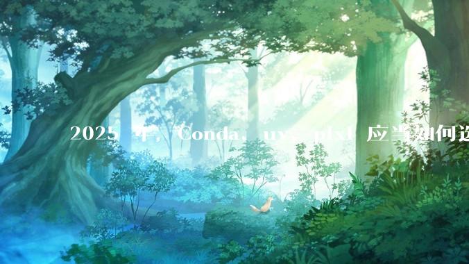 2025 年，Conda、uv、pixi 应当如何选择？