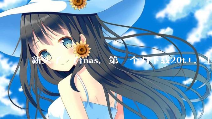 新买了一台nas，第一个月下载20t+，上传5+，不会被网警盯上吧?