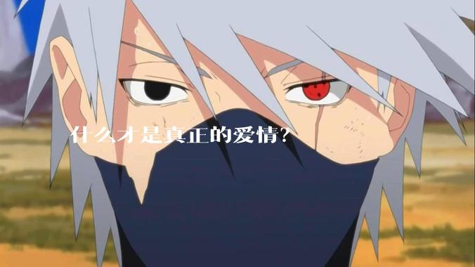 什么才是真正的爱情？