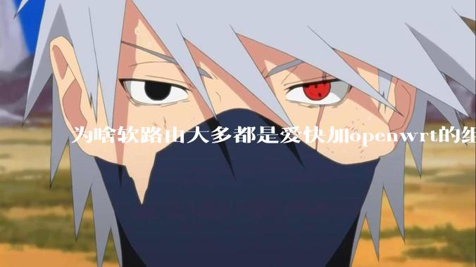 为啥软路由大多都是爱快加openwrt的组合，单openwrt有什么缺点嘛？
