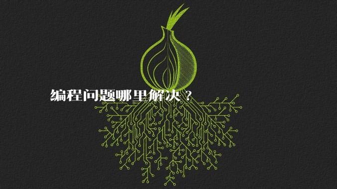编程问题哪里解决?