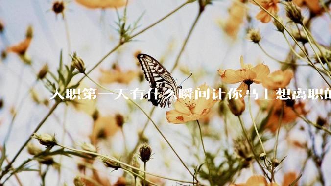 入职第一天有什么瞬间让你马上想离职的？