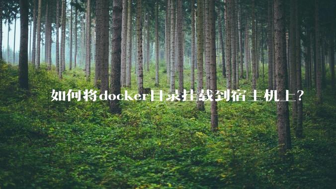 如何将docker目录挂载到宿主机上？