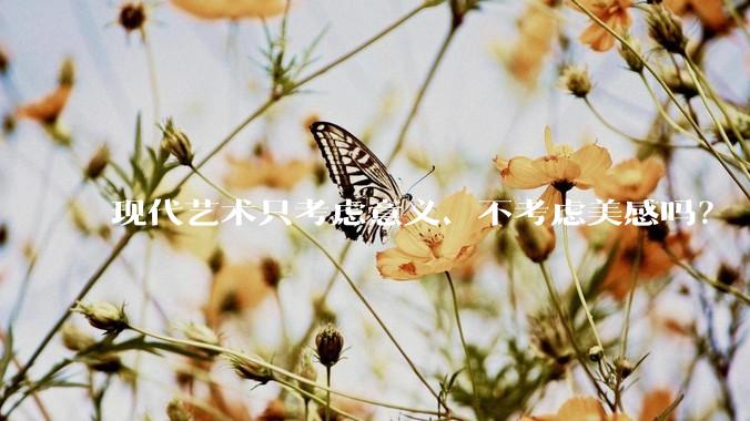 现代艺术只考虑意义、不考虑美感吗？