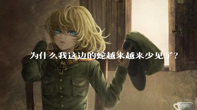 为什么我这边的蛇越来越来少见了？