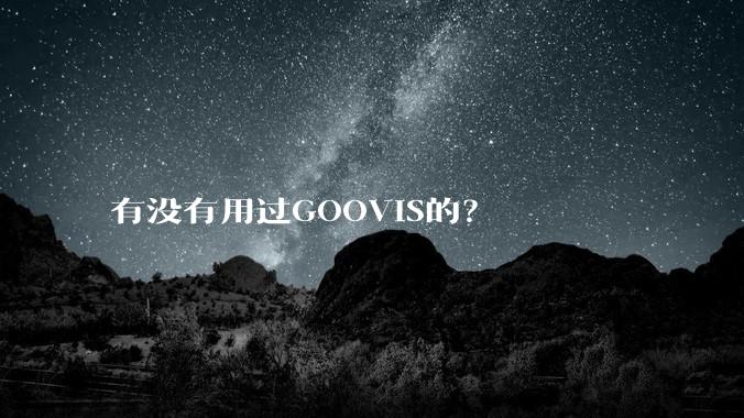 有没有用过GOOVIS的？