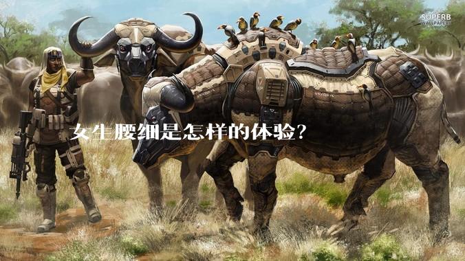 女生腰细是怎样的体验？