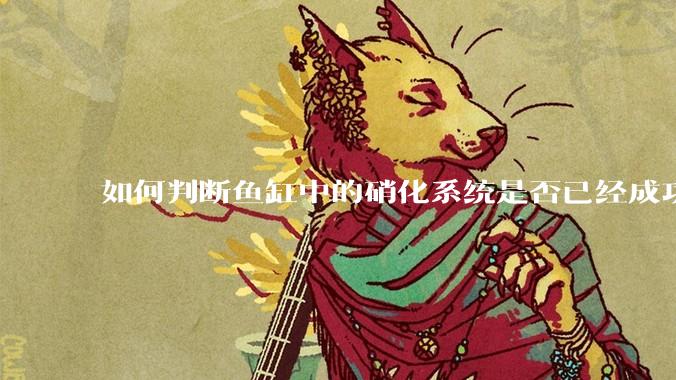 如何判断鱼缸中的硝化系统是否已经成功建立？